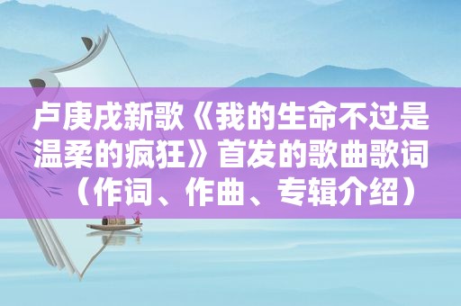 卢庚戌新歌《我的生命不过是温柔的疯狂》首发的歌曲歌词（作词、作曲、专辑介绍）