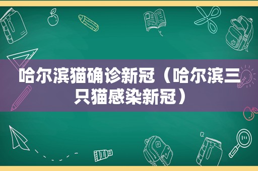 哈尔滨猫确诊新冠（哈尔滨三只猫感染新冠）