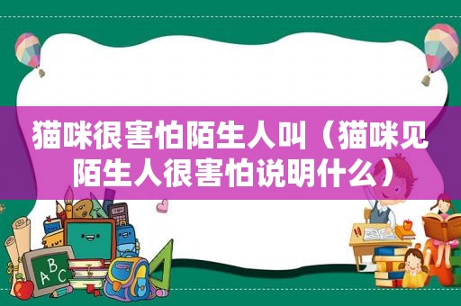 猫咪很害怕陌生人叫（猫咪见陌生人很害怕说明什么）