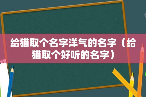 给猫取个名字洋气的名字（给猫取个好听的名字）