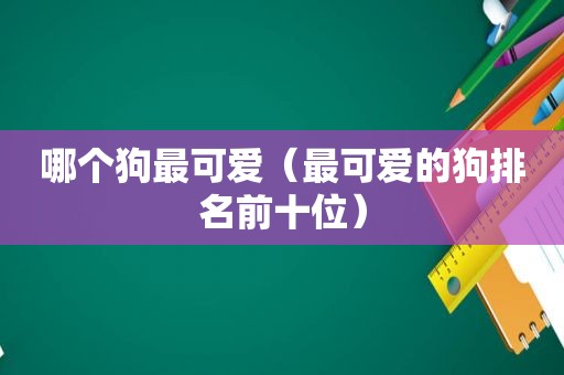 哪个狗最可爱（最可爱的狗排名前十位）