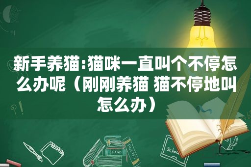 新手养猫:猫咪一直叫个不停怎么办呢（刚刚养猫 猫不停地叫怎么办）