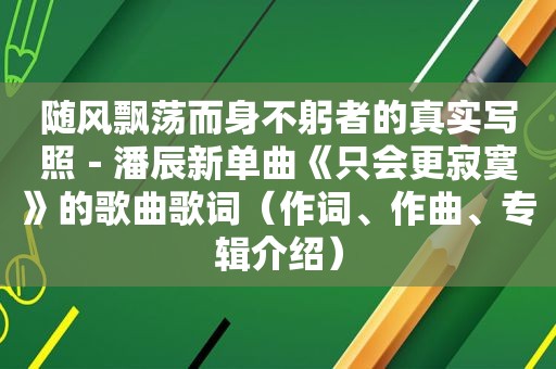 随风飘荡而身不躬者的真实写照－潘辰新单曲《只会更寂寞》的歌曲歌词（作词、作曲、专辑介绍）