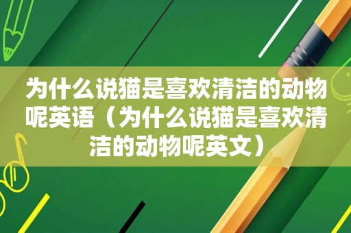 为什么说猫是喜欢清洁的动物呢英语（为什么说猫是喜欢清洁的动物呢英文）