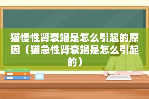 猫慢性肾衰竭是怎么引起的原因（猫急性肾衰竭是怎么引起的）