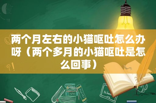 两个月左右的小猫呕吐怎么办呀（两个多月的小猫呕吐是怎么回事）