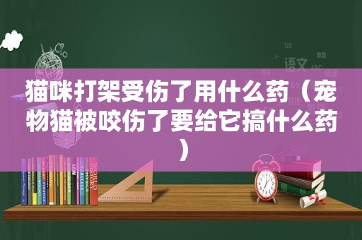 猫咪打架受伤了用什么药（宠物猫被咬伤了要给它搞什么药）