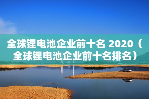 全球锂电池企业前十名 2020（全球锂电池企业前十名排名）