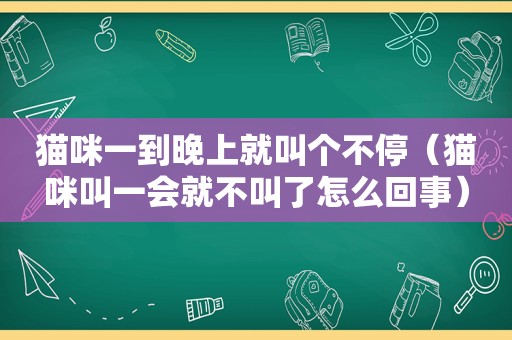 猫咪一到晚上就叫个不停（猫咪叫一会就不叫了怎么回事）