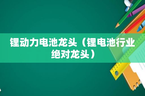 锂动力电池龙头（锂电池行业绝对龙头）