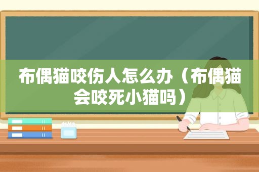 布偶猫咬伤人怎么办（布偶猫会咬死小猫吗）