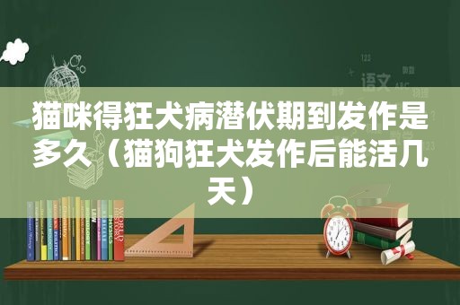 猫咪得狂犬病潜伏期到发作是多久（猫狗狂犬发作后能活几天）