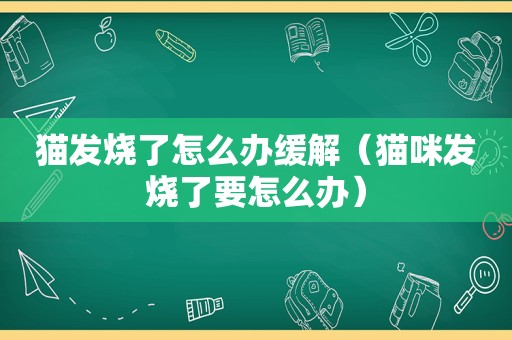 猫发烧了怎么办缓解（猫咪发烧了要怎么办）