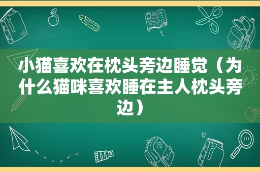 小猫喜欢在枕头旁边睡觉（为什么猫咪喜欢睡在主人枕头旁边）