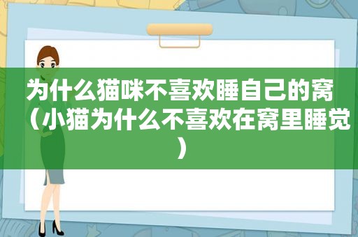 为什么猫咪不喜欢睡自己的窝（小猫为什么不喜欢在窝里睡觉）