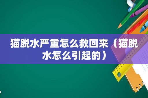 猫脱水严重怎么救回来（猫脱水怎么引起的）