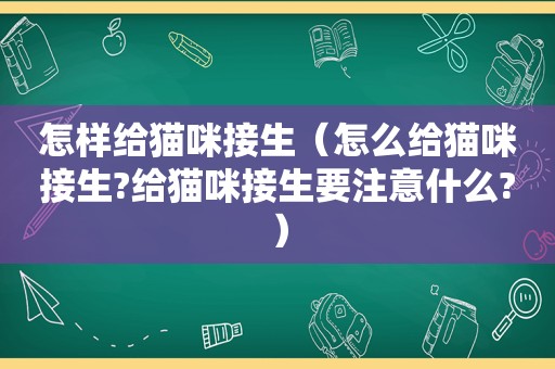 怎样给猫咪接生（怎么给猫咪接生?给猫咪接生要注意什么?）