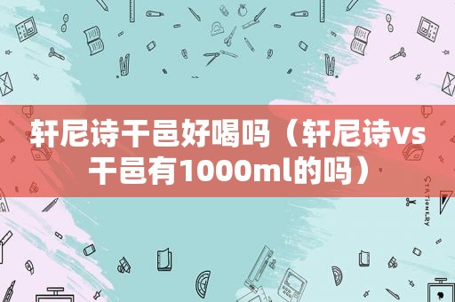 轩尼诗干邑好喝吗（轩尼诗vs干邑有1000ml的吗）