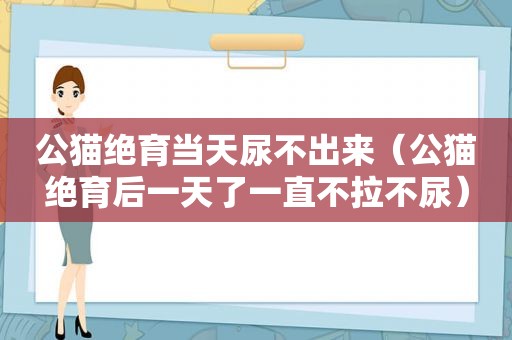 公猫绝育当天尿不出来（公猫绝育后一天了一直不拉不尿）