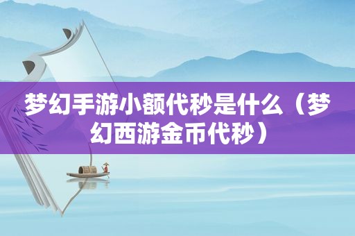 梦幻手游小额代秒是什么（梦幻西游金币代秒）