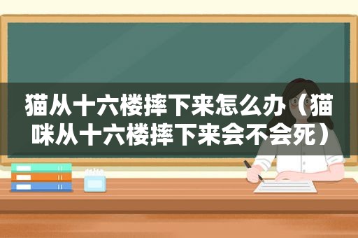 猫从十六楼摔下来怎么办（猫咪从十六楼摔下来会不会死）