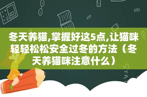 冬天养猫,掌握好这5点,让猫咪轻轻松松安全过冬的方法（冬天养猫咪注意什么）