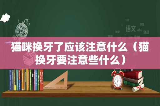 猫咪换牙了应该注意什么（猫换牙要注意些什么）