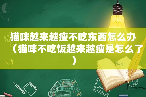 猫咪越来越瘦不吃东西怎么办（猫咪不吃饭越来越瘦是怎么了）