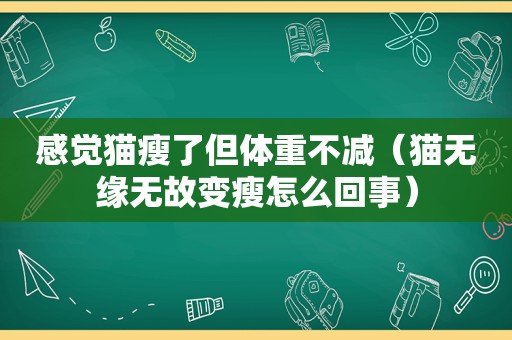 感觉猫瘦了但体重不减（猫无缘无故变瘦怎么回事）