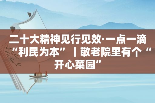 二十大精神见行见效·一点一滴“利民为本”丨敬老院里有个“开心菜园”