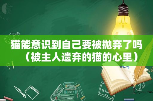 猫能意识到自己要被抛弃了吗（被主人遗弃的猫的心里）