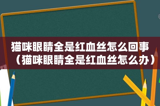 猫咪眼睛全是红血丝怎么回事（猫咪眼睛全是红血丝怎么办）