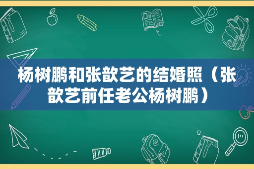 杨树鹏和张歆艺的结婚照（张歆艺前任老公杨树鹏）