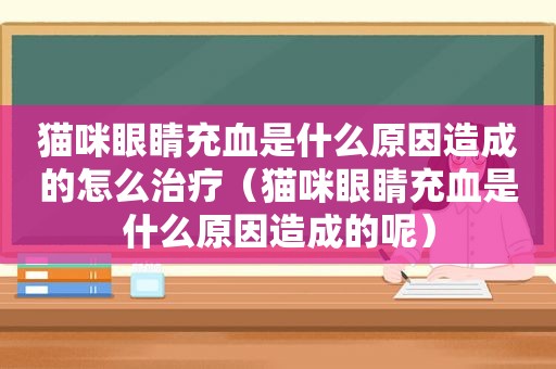 猫咪眼睛充血是什么原因造成的怎么治疗（猫咪眼睛充血是什么原因造成的呢）