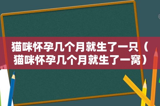 猫咪怀孕几个月就生了一只（猫咪怀孕几个月就生了一窝）