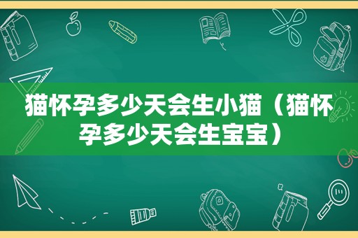 猫怀孕多少天会生小猫（猫怀孕多少天会生宝宝）