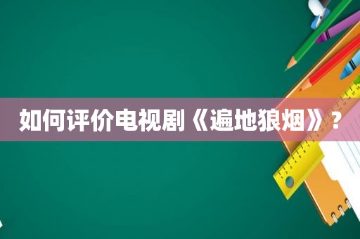 如何评价电视剧《遍地狼烟》？