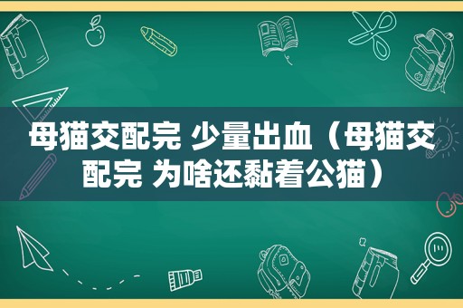 母猫交配完 少量出血（母猫交配完 为啥还黏着公猫）