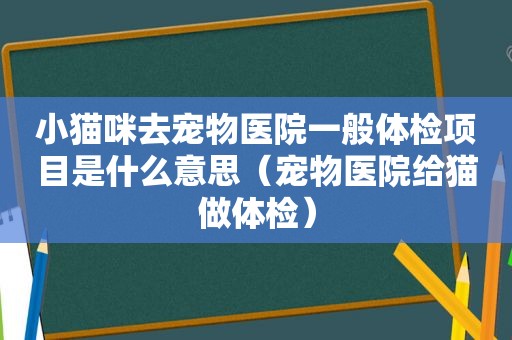 小猫咪去宠物医院一般体检项目是什么意思（宠物医院给猫做体检）