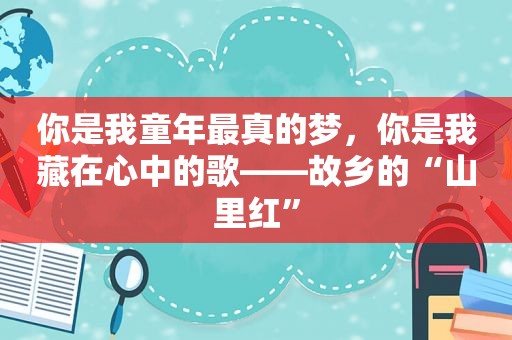 你是我童年最真的梦，你是我藏在心中的歌——故乡的“山里红”