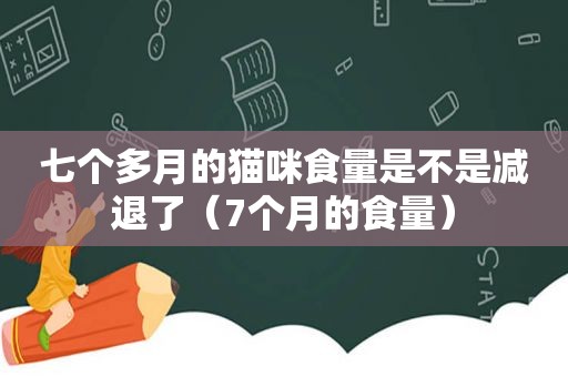 七个多月的猫咪食量是不是减退了（7个月的食量）