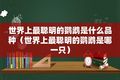 世界上最聪明的鹦鹉是什么品种（世界上最聪明的鹦鹉是哪一只）