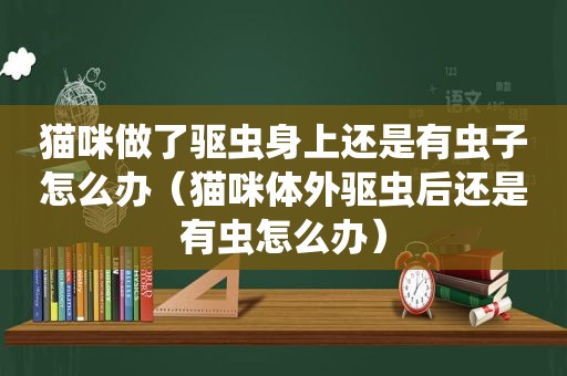 猫咪做了驱虫身上还是有虫子怎么办（猫咪体外驱虫后还是有虫怎么办）