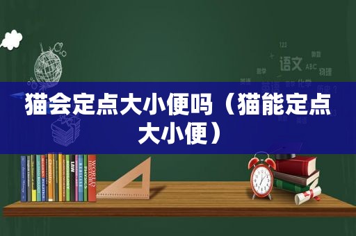 猫会定点大小便吗（猫能定点大小便）