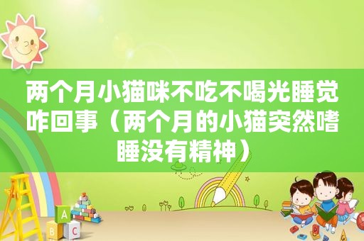 两个月小猫咪不吃不喝光睡觉咋回事（两个月的小猫突然嗜睡没有精神）