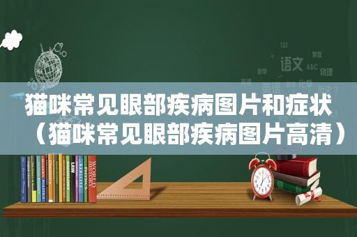 猫咪常见眼部疾病图片和症状（猫咪常见眼部疾病图片高清）