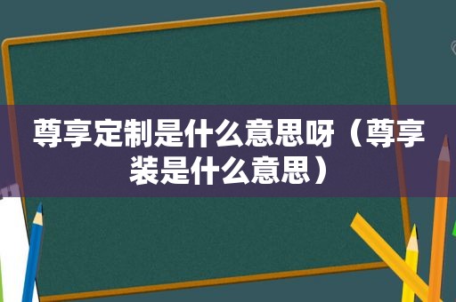 尊享定制是什么意思呀（尊享装是什么意思）