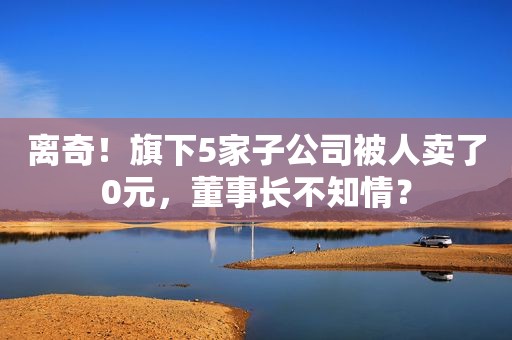 离奇！旗下5家子公司被人卖了0元，董事长不知情？