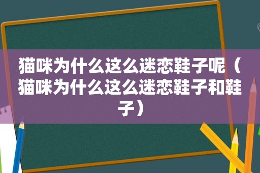 猫咪为什么这么迷恋鞋子呢（猫咪为什么这么迷恋鞋子和鞋子）