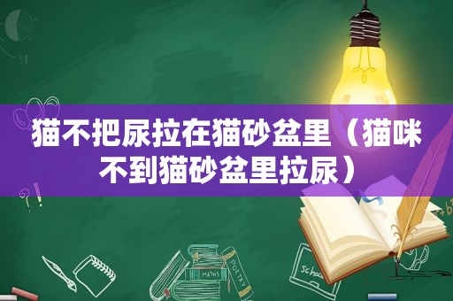 猫不把尿拉在猫砂盆里（猫咪不到猫砂盆里拉尿）